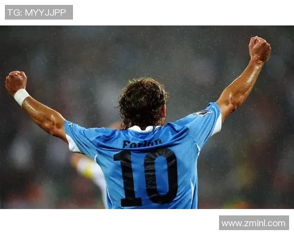 法国足球明星路易基的辉煌历程与对足球的深远影响